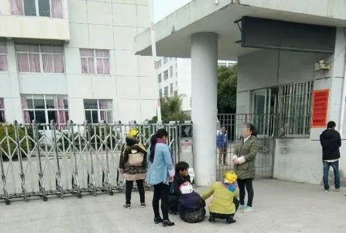 北流鞋厂最新爆料,揭秘行业变革背后的秘密  第2张