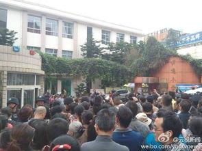 云南小学爆料事件最新,揭开校园安全与管理的隐秘面纱